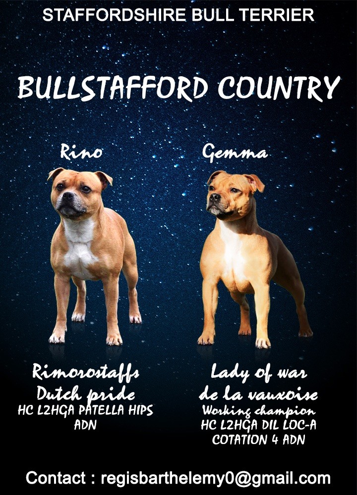Bullstafford Country - Portée 2019